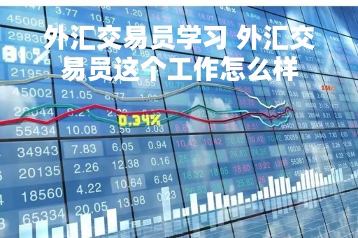 外汇交易员学习 外汇交易员这个工作怎么样