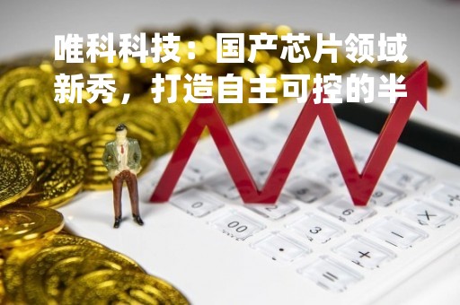 唯科科技：国产芯片领域新秀，打造自主可控的半导体生态系统