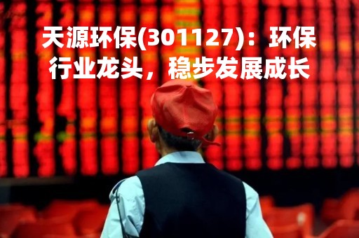 天源环保(301127):环保行业龙头,稳步发展成长 天源环保(301127):环保行业龙头,稳步发展成长