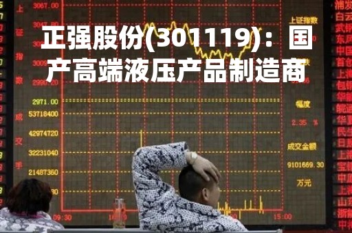正强股份(301119)：国产高端液压产品制造商的崛起