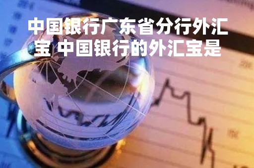 中国银行广东省分行外汇宝 中国银行的外汇宝是什么