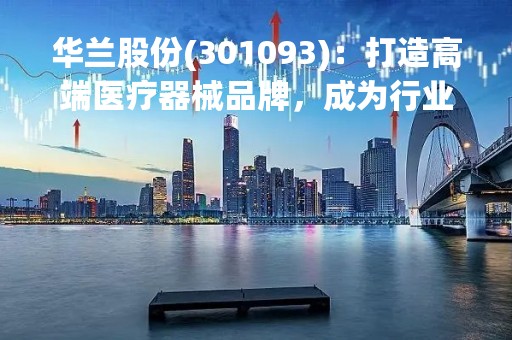 华兰股份(301093)：打造高端医疗器械品牌，成为行业领军者