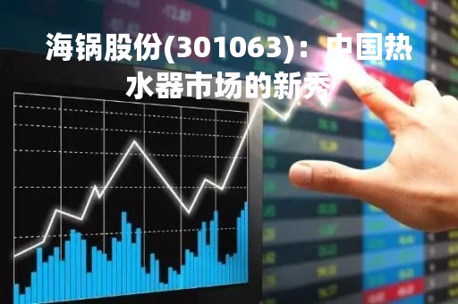 海锅股份(301063)：中国热水器市场的新秀