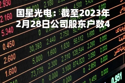 国星光电：截至2023年2月28日公司股东户数49,907户