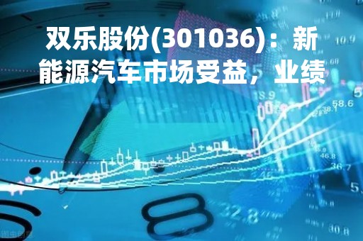 双乐股份(301036)：新能源汽车市场受益，业绩持续增长