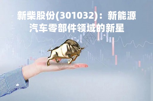 新柴股份(301032)：新能源汽车零部件领域的新星