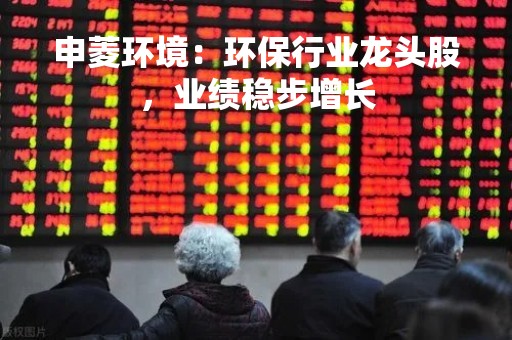 申菱环境:环保行业龙头股,业绩稳步增长 申菱环境:环保行业龙头股,业绩稳步增长