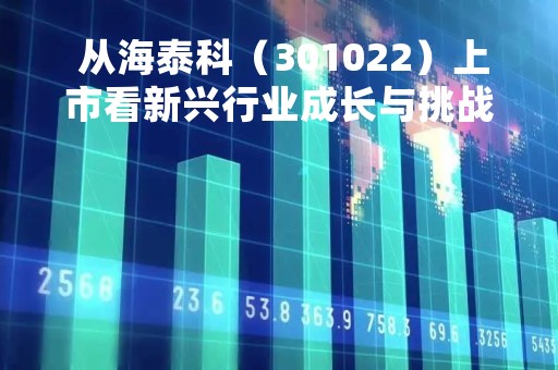  从海泰科（301022）上市看新兴行业成长与挑战