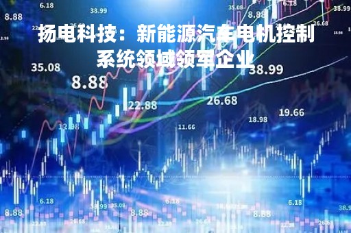扬电科技：新能源汽车电机控制系统领域领军企业