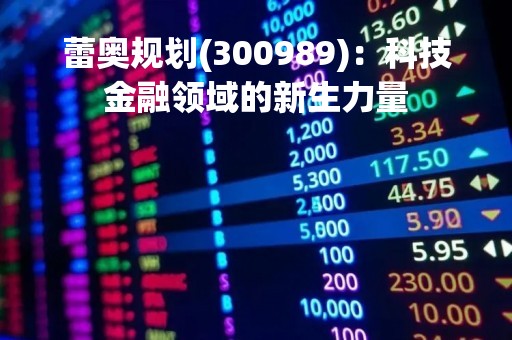 蕾奥规划(300989)：科技金融领域的新生力量