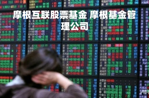 摩根互联股票基金 摩根基金管理公司