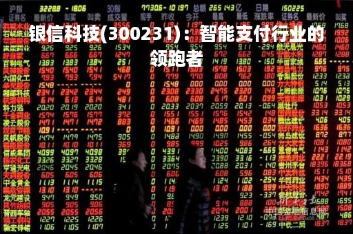 银信科技(300231)：智能支付行业的领跑者