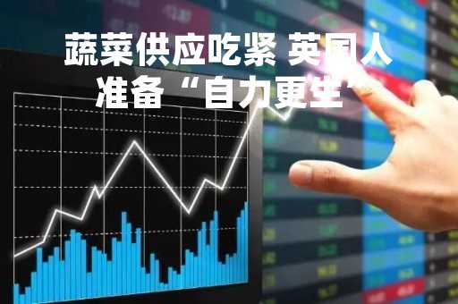 蔬菜供应吃紧 英国人准备“自力更生”