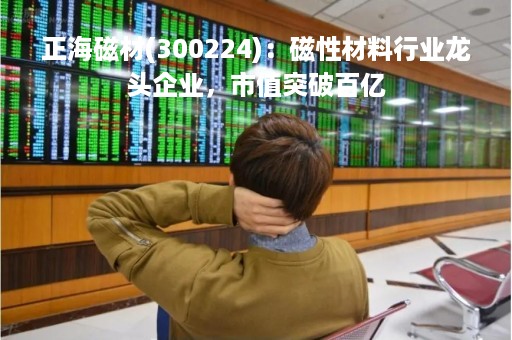 正海磁材(300224)：磁性材料行业龙头企业，市值突破百亿