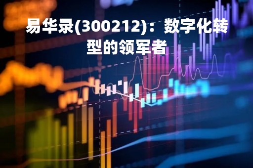 易华录(300212)：数字化转型的领军者
