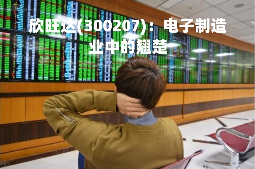 欣旺达(300207)：电子制造业中的翘楚