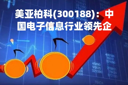 美亚柏科(300188)：中国电子信息行业领先企业