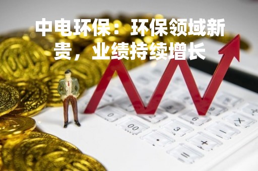 中电环保：环保领域新贵，业绩持续增长