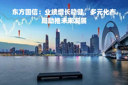 东方国信：业绩增长稳健，多元化布局助推未来发展