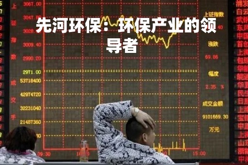 先河环保：环保产业的领导者 