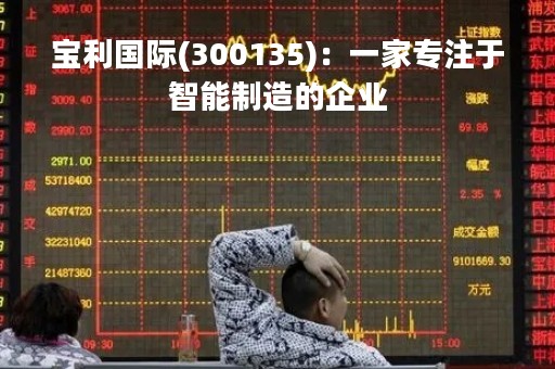 宝利国际(300135)：一家专注于智能制造的企业