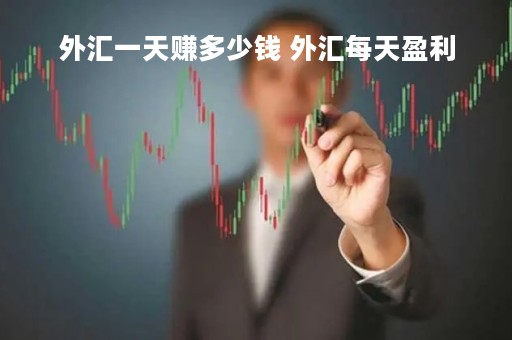 外汇一天赚多少钱 外汇每天盈利