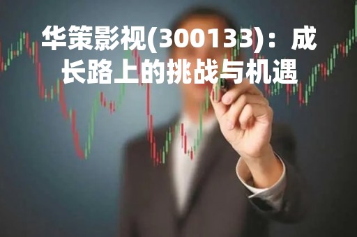 华策影视(300133)：成长路上的挑战与机遇
