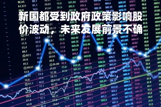 新国都受到政府政策影响股价波动，未来发展前景不确定