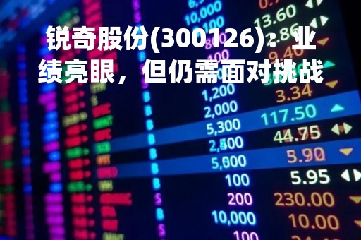 锐奇股份(300126)：业绩亮眼，但仍需面对挑战