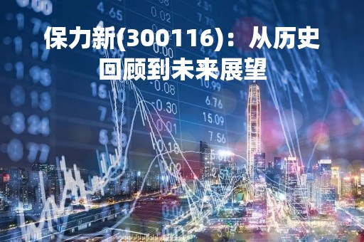 保力新(300116)：从历史回顾到未来展望