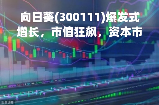 向日葵(300111)爆发式增长，市值狂飙，资本市场的新宠