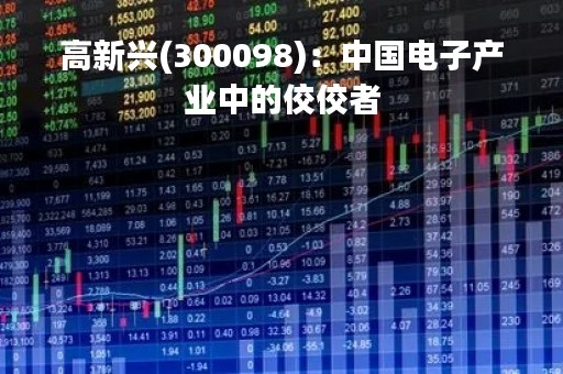 高新兴(300098)：中国电子产业中的佼佼者