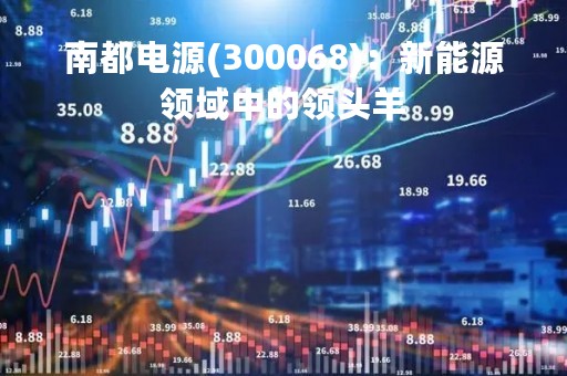 南都电源(300068)：新能源领域中的领头羊