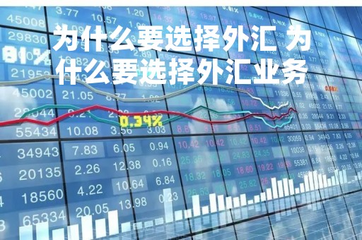为什么要选择外汇 为什么要选择外汇业务