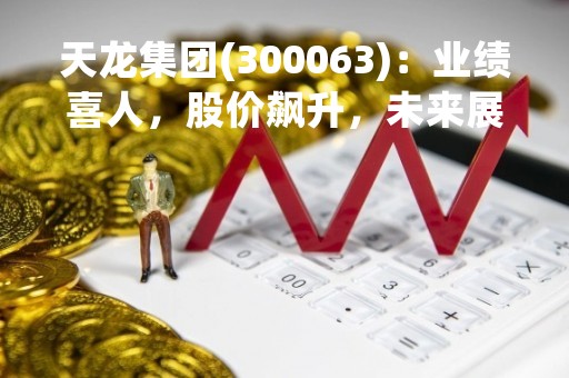 天龙集团(300063)：业绩喜人，股价飙升，未来展望可期