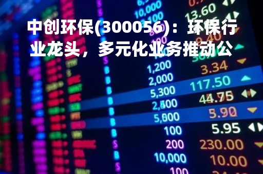 中创环保(300056)：环保行业龙头，多元化业务推动公司快速增长