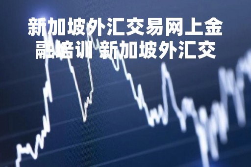 新加坡外汇交易网上金融培训 新加坡外汇交易公司