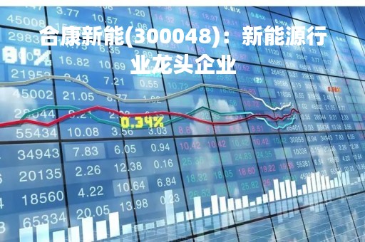 合康新能(300048)：新能源行业龙头企业