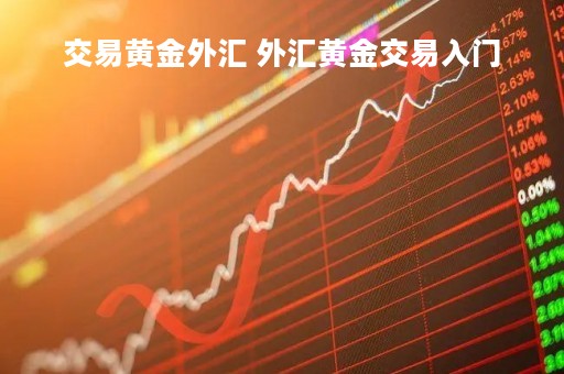 交易黄金外汇 外汇黄金交易入门