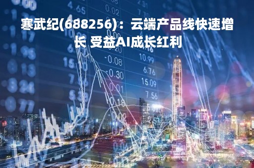 寒武纪(688256)：云端产品线快速增长 受益AI成长红利