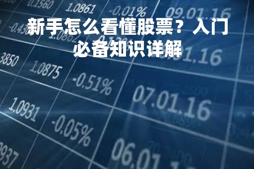 新手怎么看懂股票？入门必备知识详解