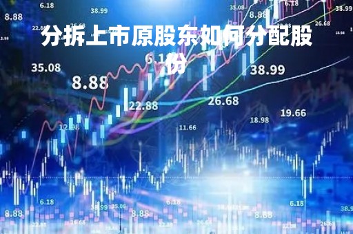 分拆上市原股东如何分配股份