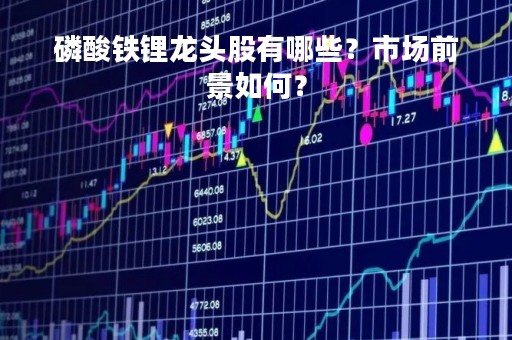 磷酸铁锂龙头股有哪些？市场前景如何？