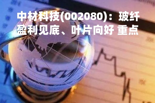 中材科技(002080)：玻纤盈利见底、叶片向好 重点关注锂膜成长性