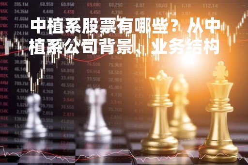 中植系股票有哪些？从中植系公司背景、业务结构、股票表现三方面进行分析