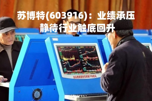 苏博特(603916)：业绩承压 静待行业触底回升