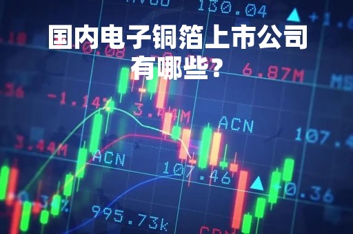 国内电子铜箔上市公司有哪些？