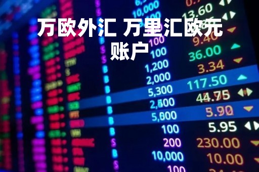 万欧外汇 万里汇欧元账户