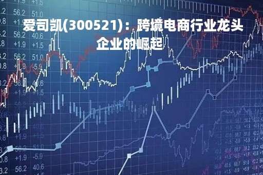  爱司凯(300521)：跨境电商行业龙头企业的崛起 