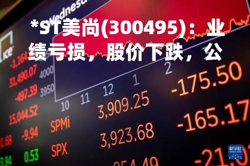  *ST美尚(300495)：业绩亏损，股价下跌，公司未来如何发展？